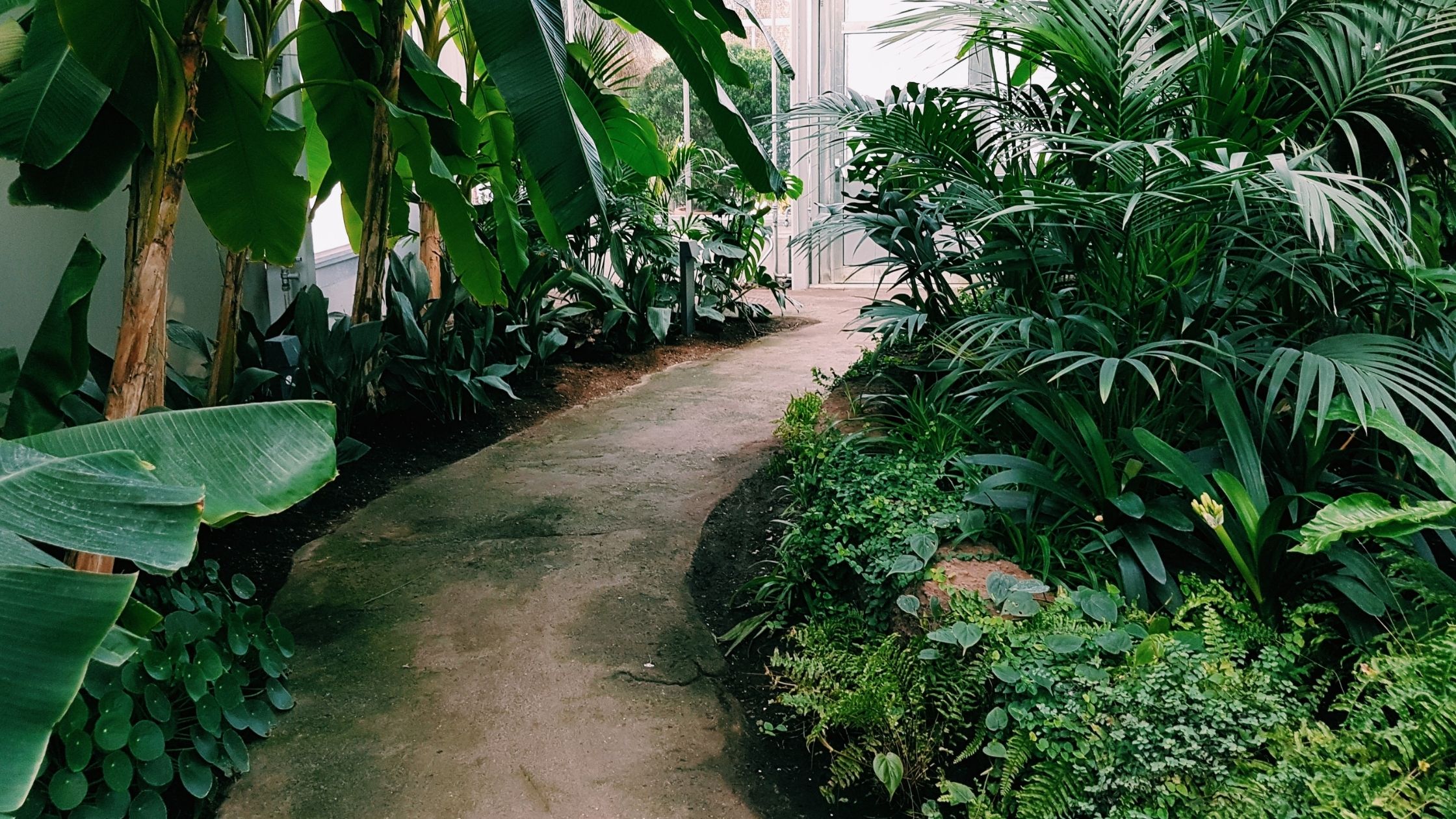 convertir tu terraza en tu oasis particular