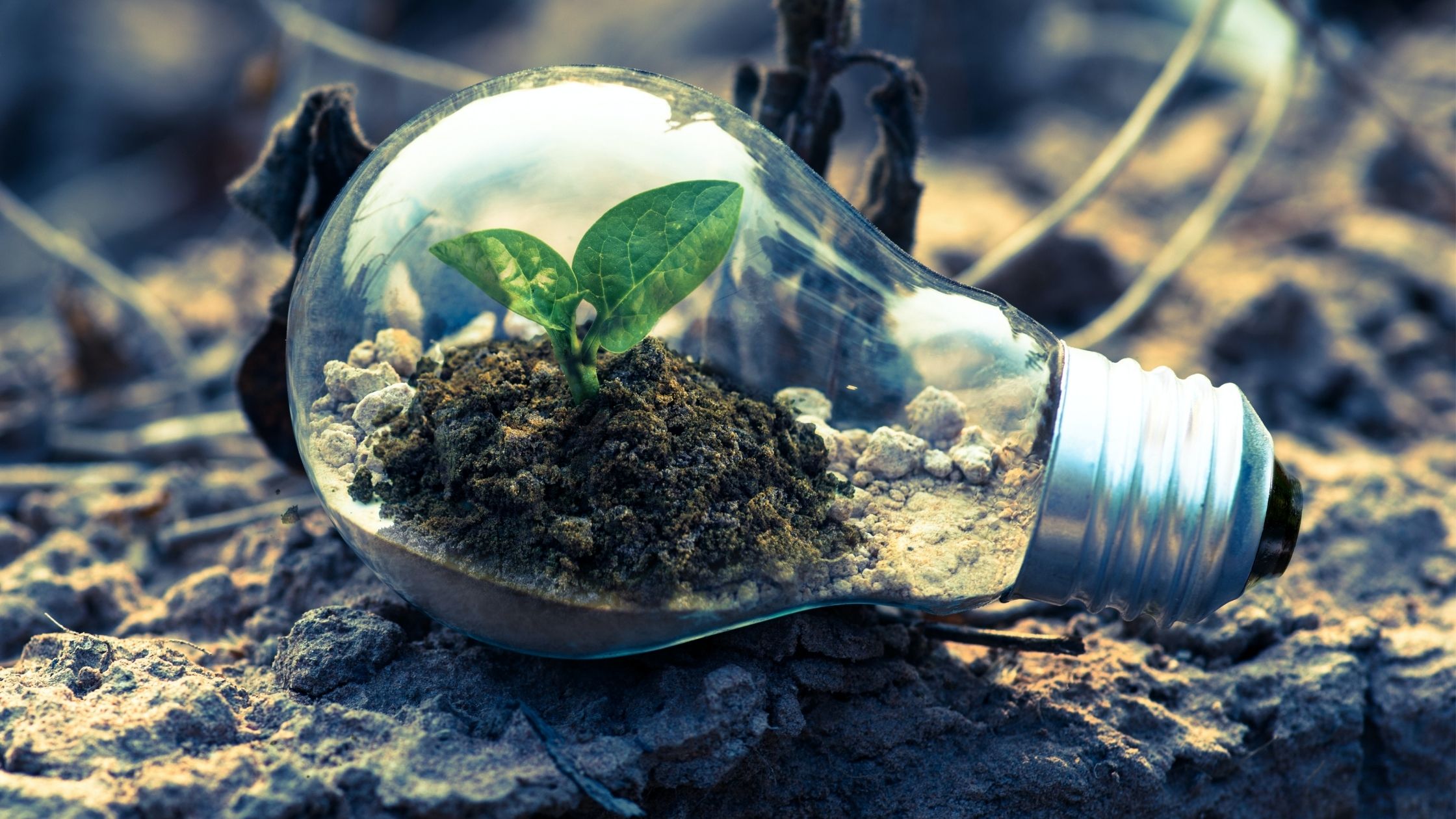 Rehabilitaciones eco-sostenibles