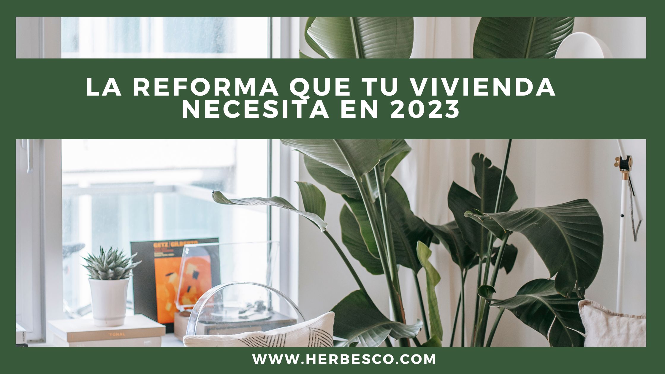 la-reforma-que-tu-vivienda-necesita-en-2023-1