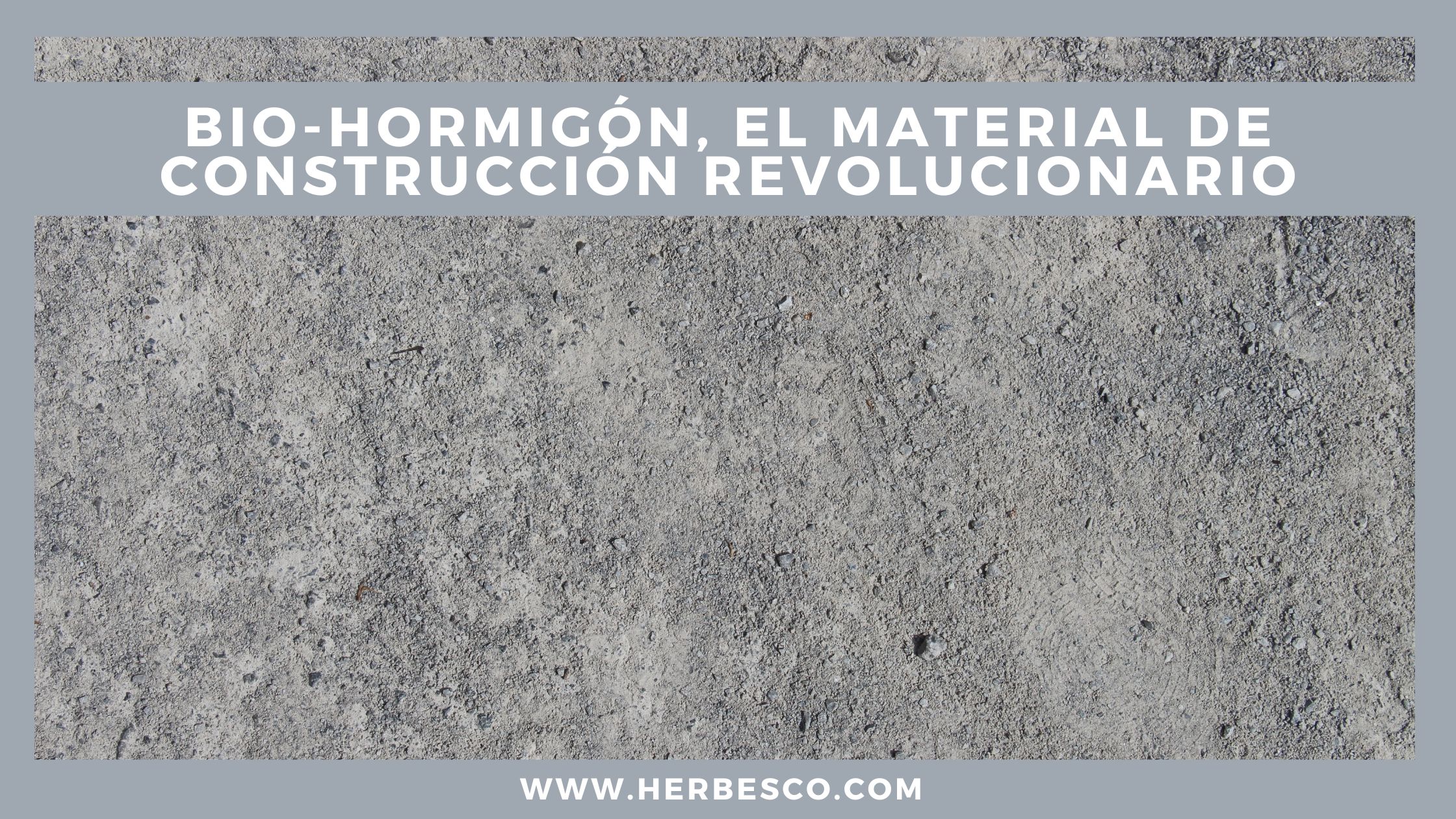 bio-hormigon-el-material-de-construccion-revolucionario-1