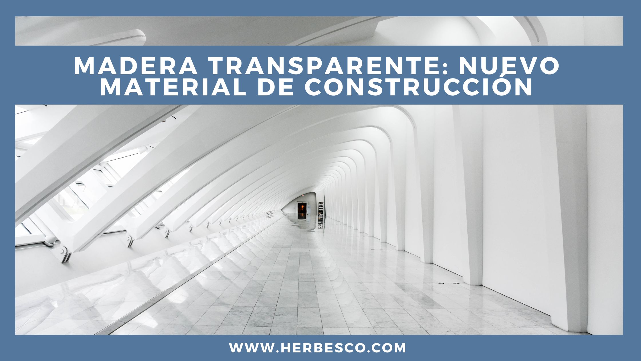 madera-transparente-nuevo-material-de-construccion-1