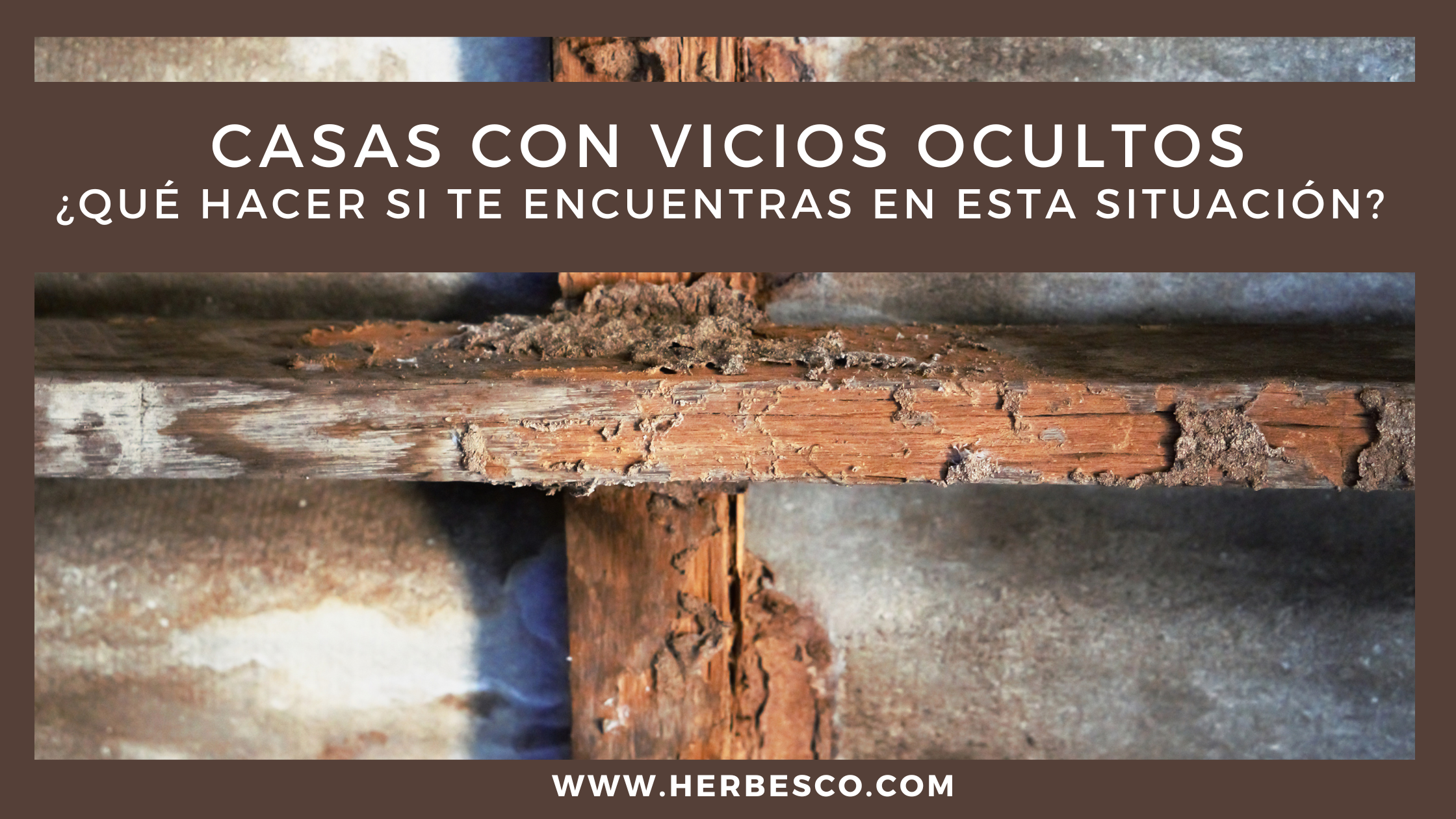 casas-con-vicios-ocultos-que-hacer-si-te-encuentras-en-esta-situacion-1